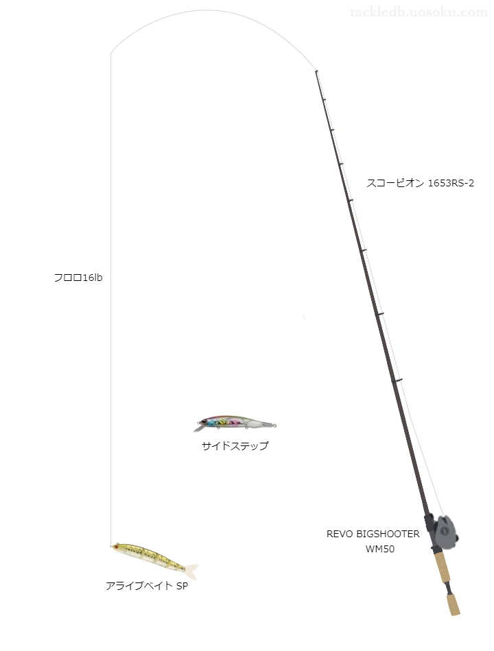 中級者に適したバス釣りタックル。スコーピオン1653RS-2とアブガルシアのリール