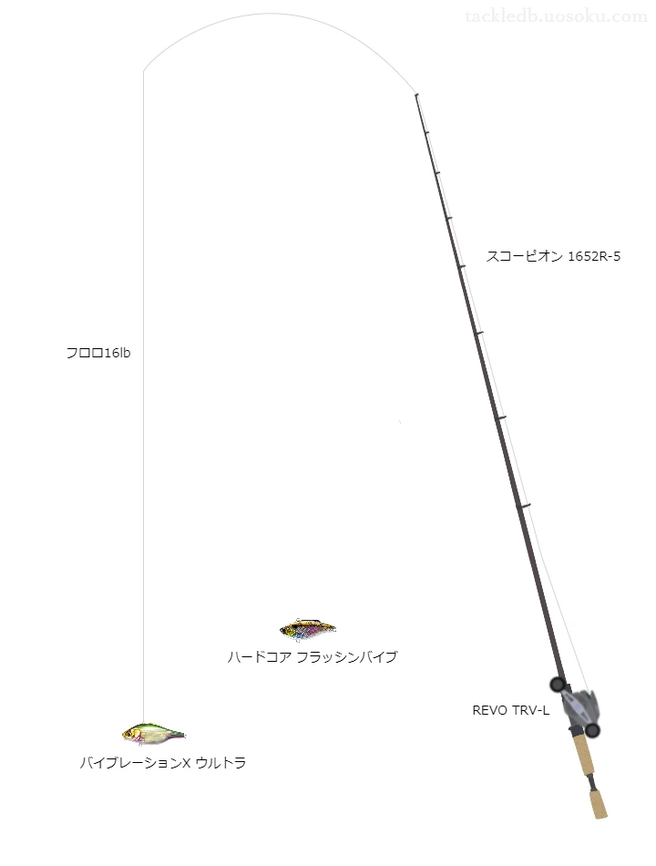 【小田内沼】バイブレーションXウルトラのためのバス釣りタックル【スコーピオン1652R-5】