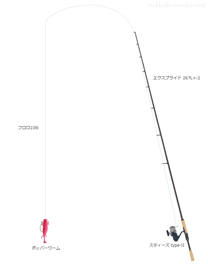 バス釣りに関するタックル、仕掛け図解