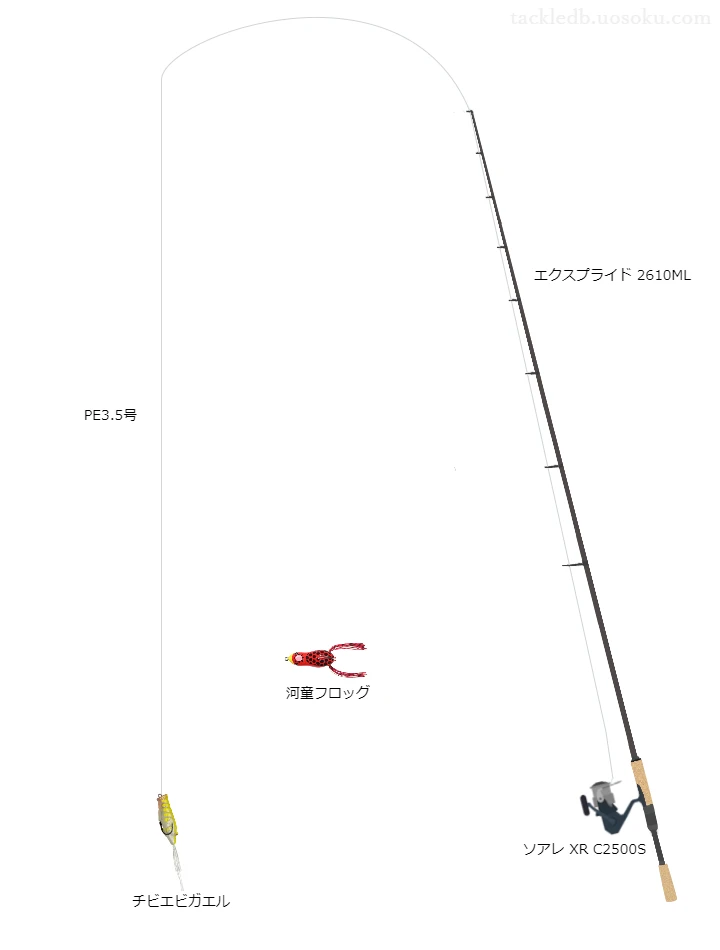 バス釣りに関するタックル、仕掛け図解