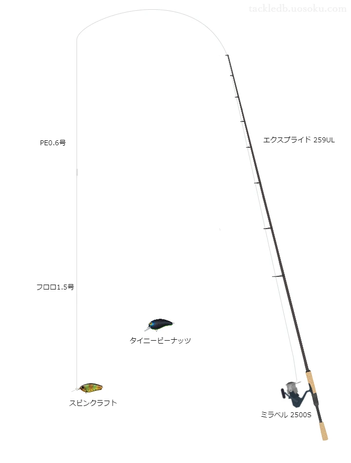 バス釣りに関するタックル、仕掛け図解