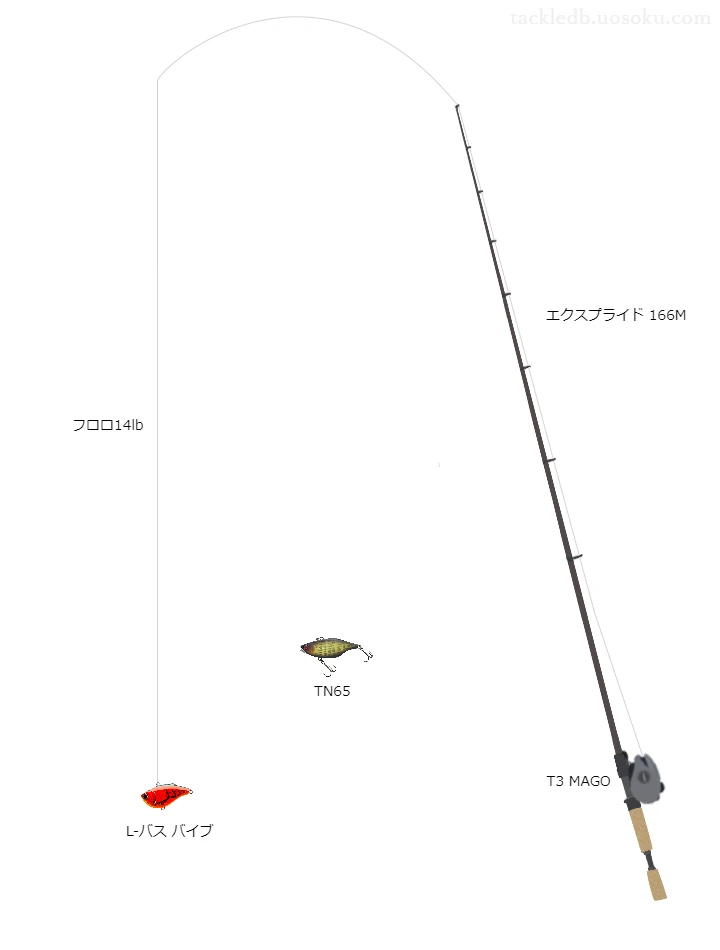 バス釣りに関するタックル、仕掛け図解