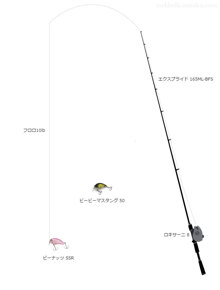 バス釣りに関するタックル、仕掛け図解