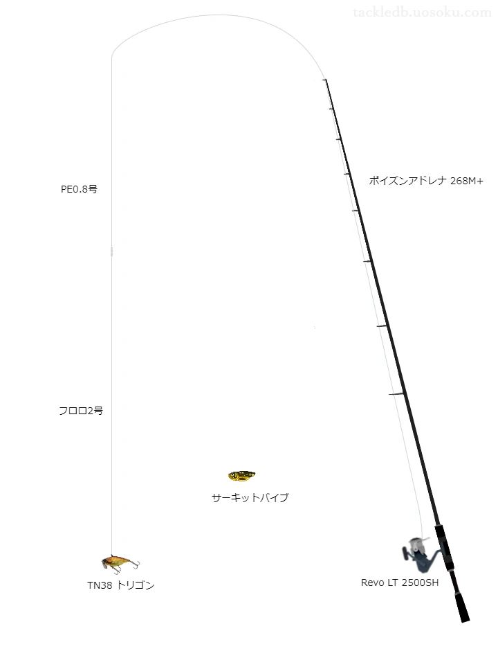 バス釣りに関するタックル、仕掛け図解