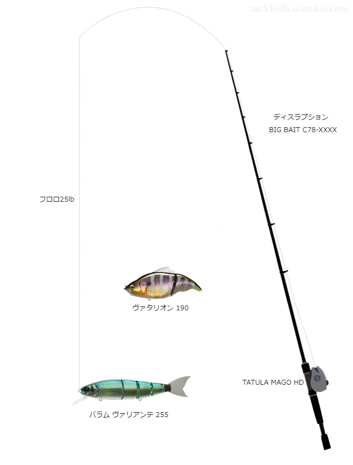 バス釣りに関するタックル、仕掛け図解