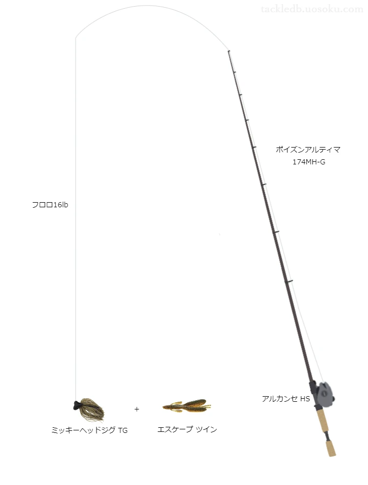 バス釣りに関するタックル、仕掛け図解