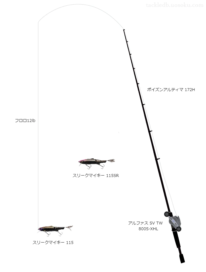 バス釣りに関するタックル、仕掛け図解