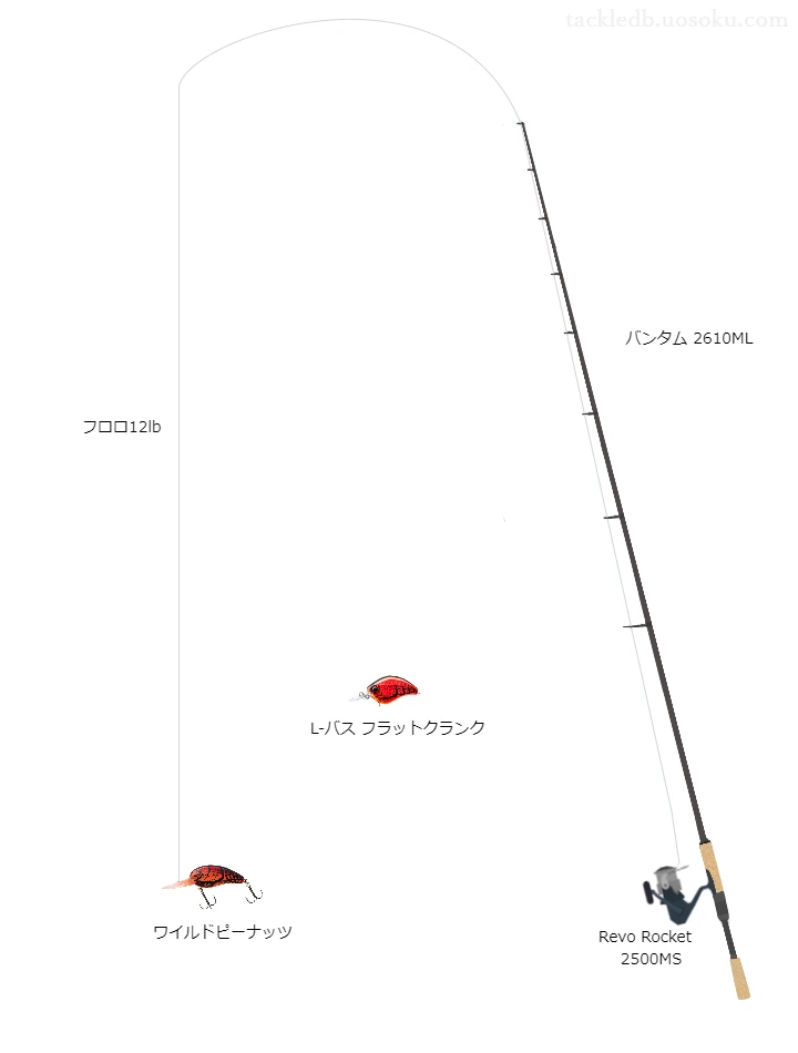 ワイルドピーナッツのためのバス釣りタックル。シマノのロッドとアブガルシアのリール