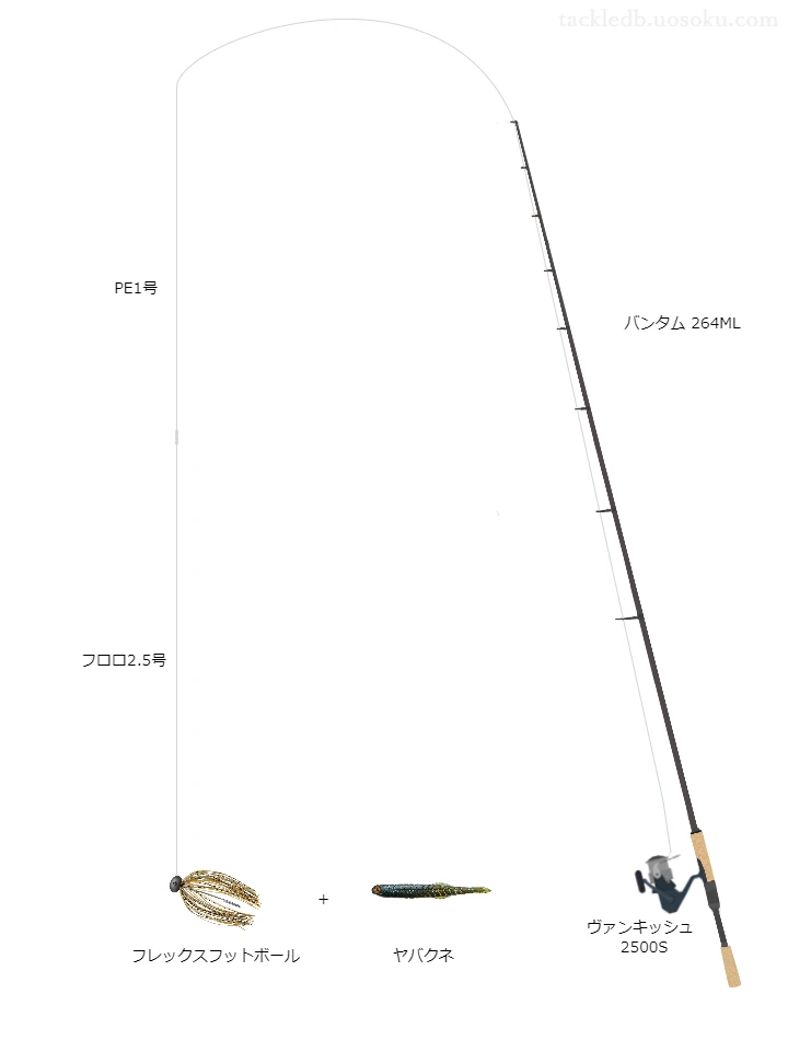 バス釣りに関するタックル、仕掛け図解