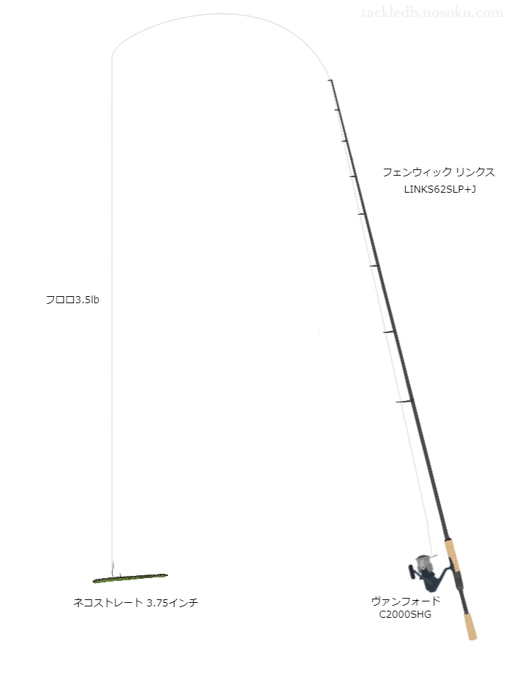 フェンウィックリンクス62SLP+JとヴァンフォードC2000SHG及びネコストレート3.75インチネコリグバス釣りタックル