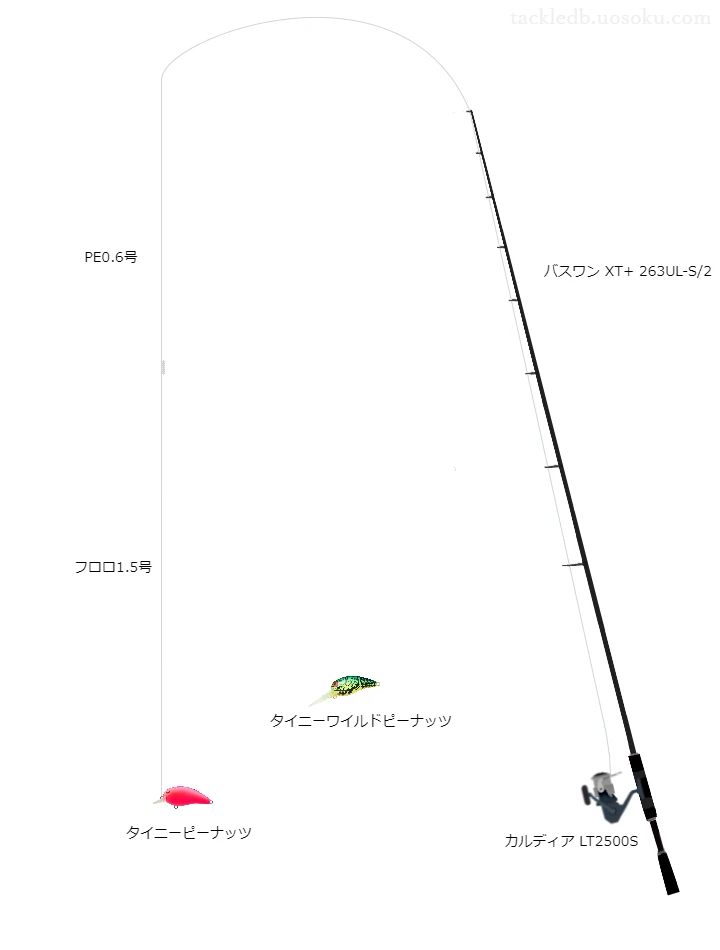 バスワンXT+263UL-S/2とカルディアLT2500Sの組合せによるバスタックル【仮想インプレ】