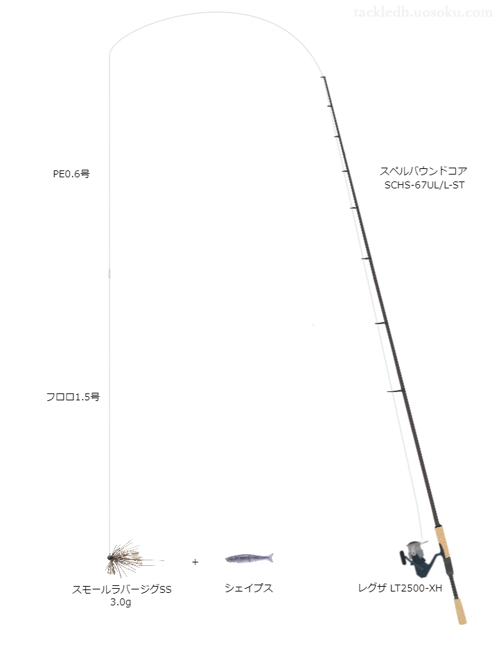 バス釣りに関するタックル、仕掛け図解