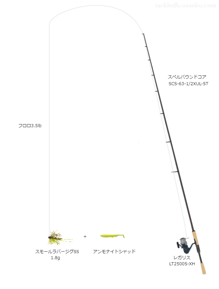 バス釣りに関するタックル、仕掛け図解