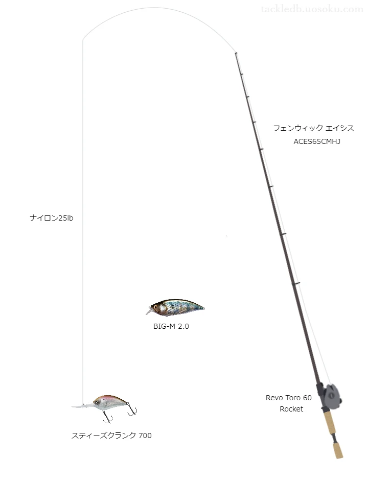 【丸亀野池】スティーズクランク700のためのバス釣りタックル【フェンウィックエイシスACES65CMHJ】