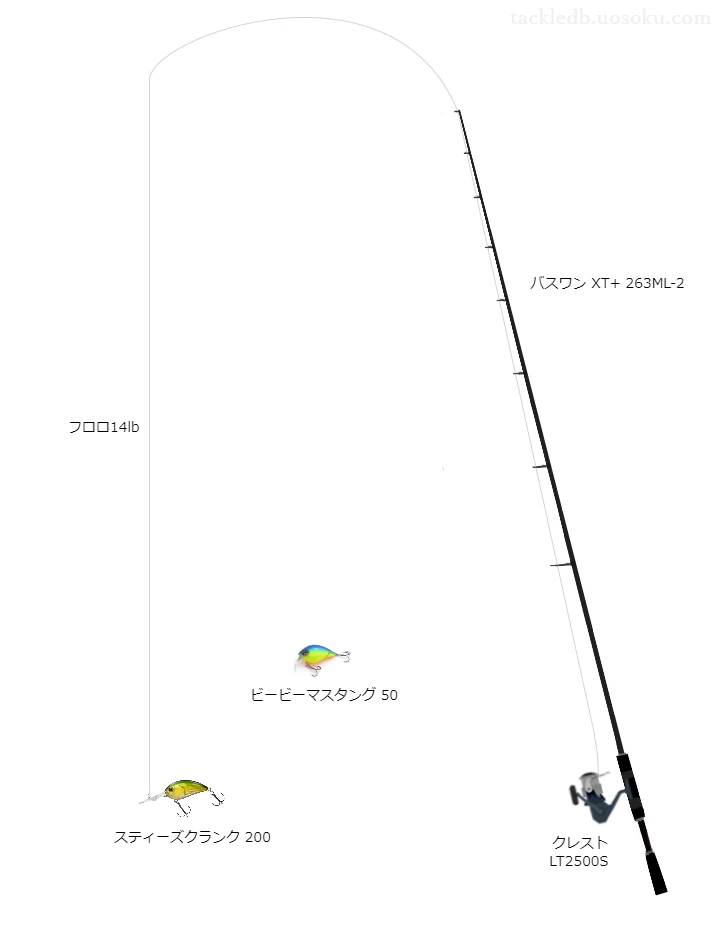 バス釣りに関するタックル、仕掛け図解