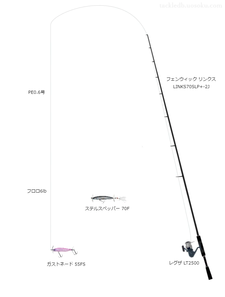 ティムコのロッドとダイワのリールでガストネード55FSを使うバスタックル。【伊豆沼】