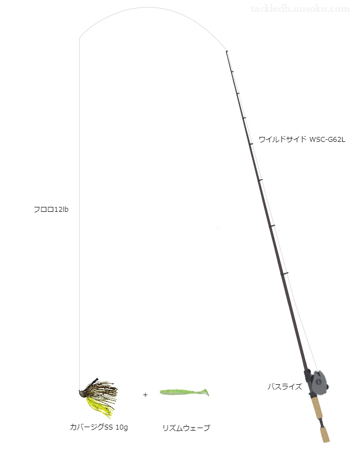 バス釣りに関するタックル、仕掛け図解