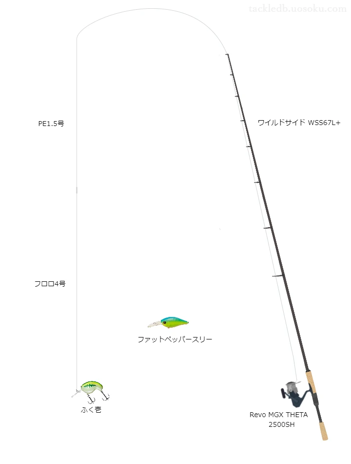 【木幡池】ふく壱のためのバス釣りタックル【ワイルドサイドWSS67L+】