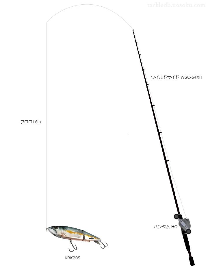 バス釣りに関するタックル、仕掛け図解