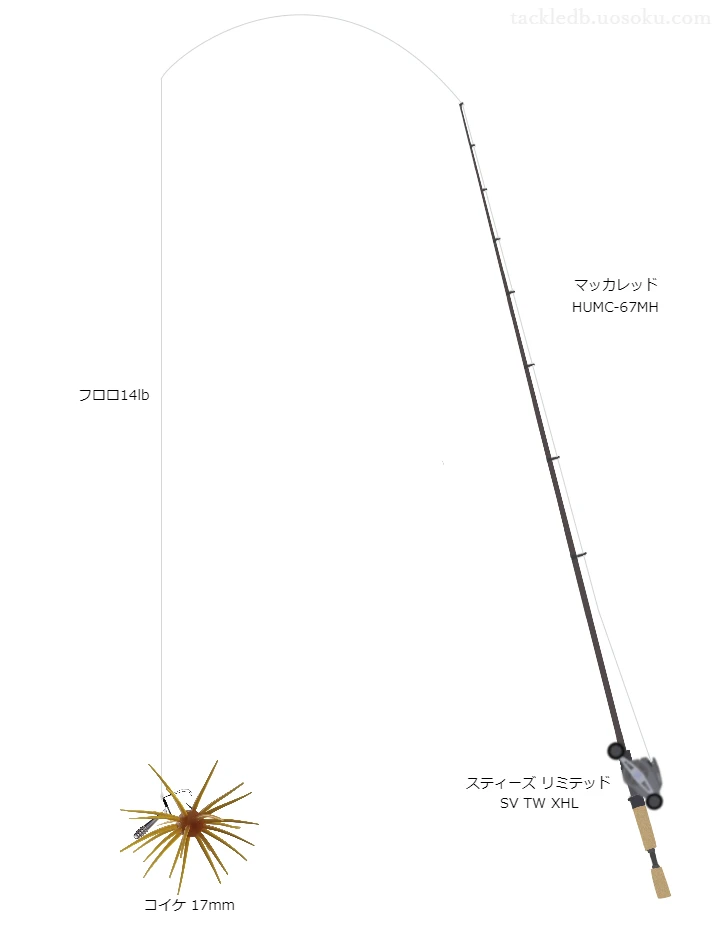 バス釣りに関するタックル、仕掛け図解