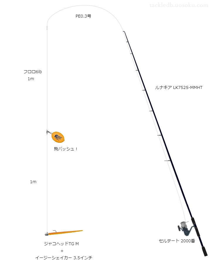 アジングに関するタックル、仕掛け図解