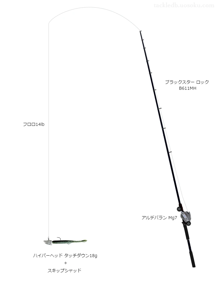 【ロックフィッシュ】ジグヘッドリグ用タックル