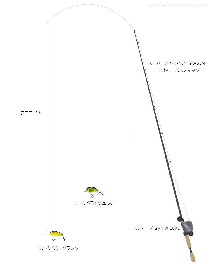 上級者向けバス釣りタックル。スーパーストライクFGO-65Mハトリーズスティックとダイワのリール