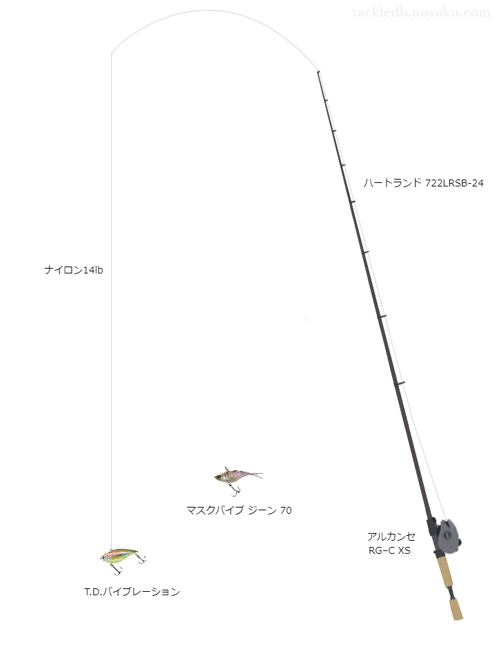 T.D.バイブレーション63S-Wのためのバス釣りタックル【バイブレーション】