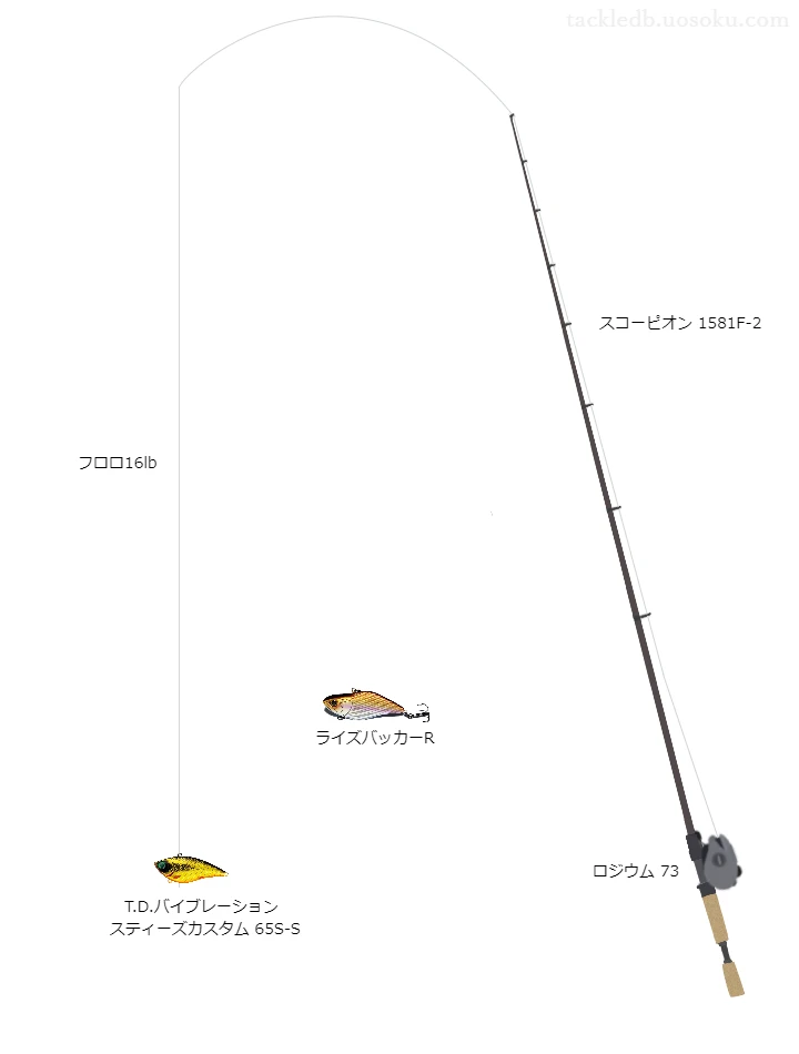 シューターFCスナイパー16lbをロジウム73と共に使用したバスタックル【仮想インプレ】