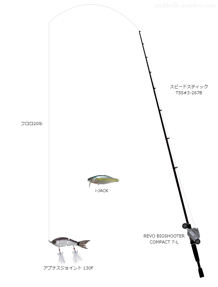 バス釣りに関するタックル、仕掛け図解