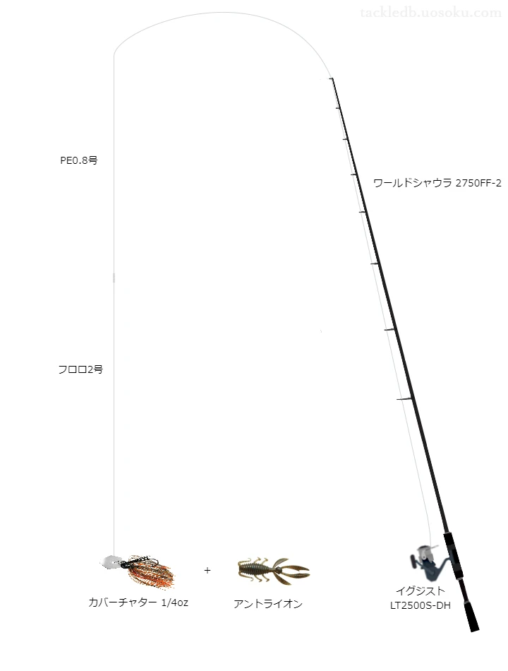 バス釣りに関するタックル、仕掛け図解