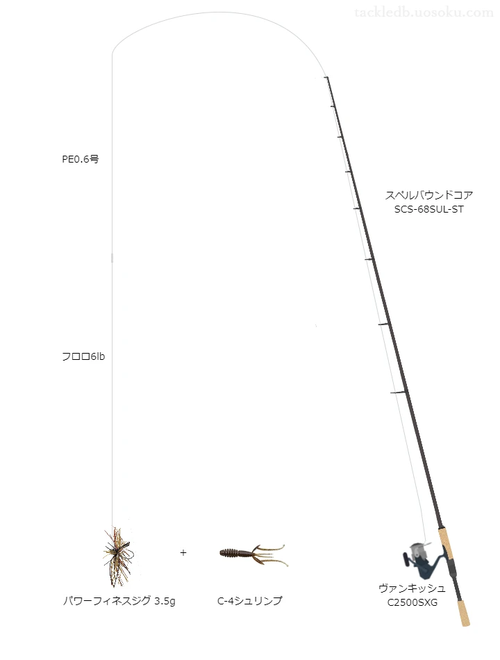 バス釣りに関するタックル、仕掛け図解