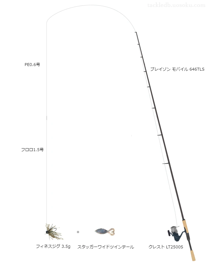 バス釣りに関するタックル、仕掛け図解