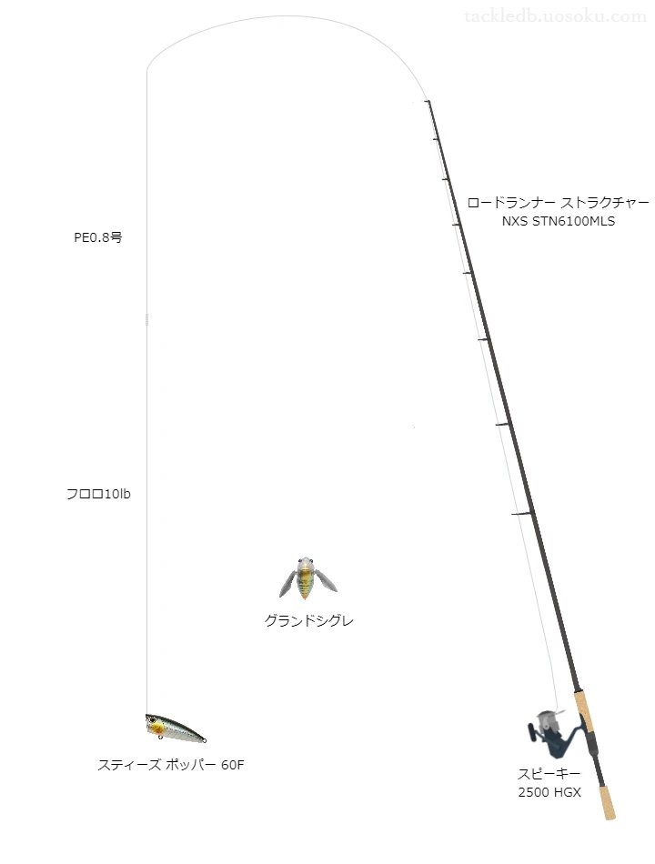 ロードランナーストラクチャーNXSSTN6100MLSとテイルウォークのリールでスティーズポッパー60Fを使用するタックル