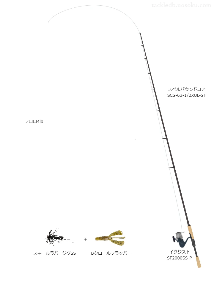 バス釣りに関するタックル、仕掛け図解