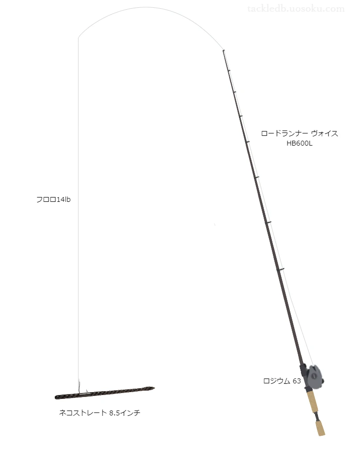 バス釣りに関するタックル、仕掛け図解