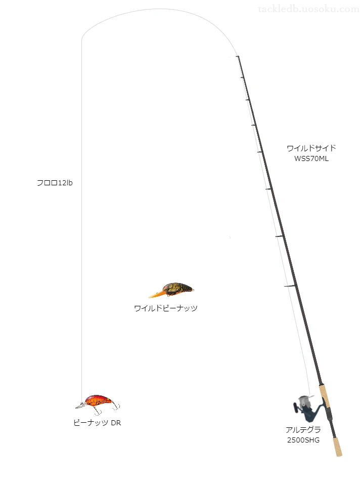 バス釣りに関するタックル、仕掛け図解