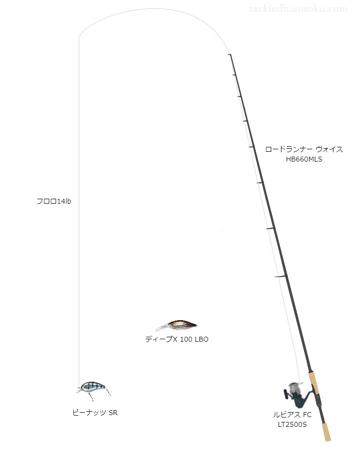 バス釣りに関するタックル、仕掛け図解