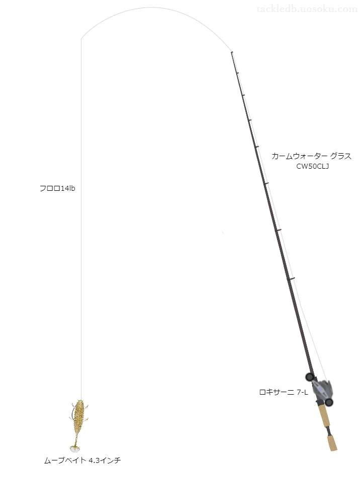 バス釣りに関するタックル、仕掛け図解