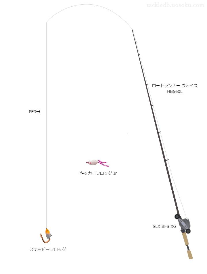 上級者向けバス釣りタックル。ロードランナーヴォイスHB560Lとシマノのリール【フロッグ】