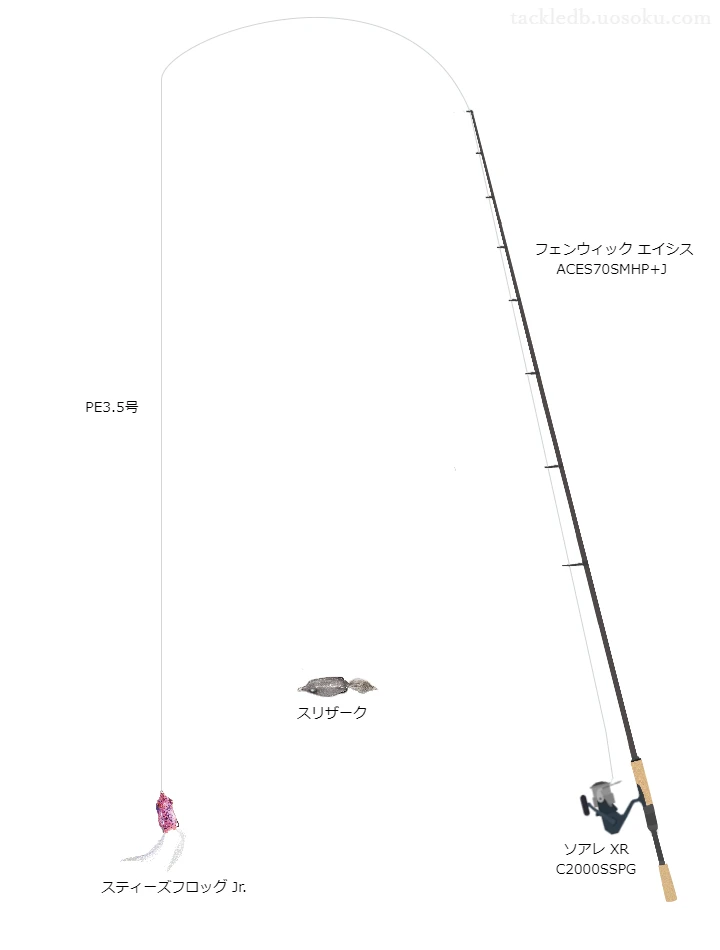 フェンウィックエイシスACES70SMHP+JとソアレXRC2000SSPGの組合せによるバスタックル【仮想インプレ】