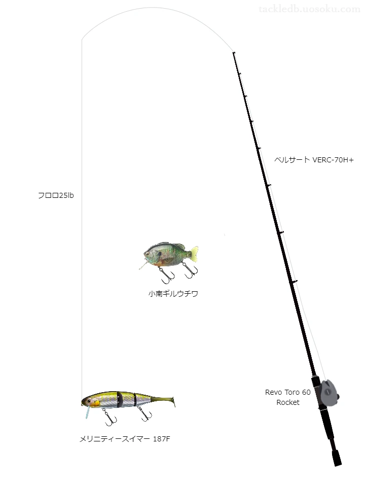 バス釣りに関するタックル、仕掛け図解