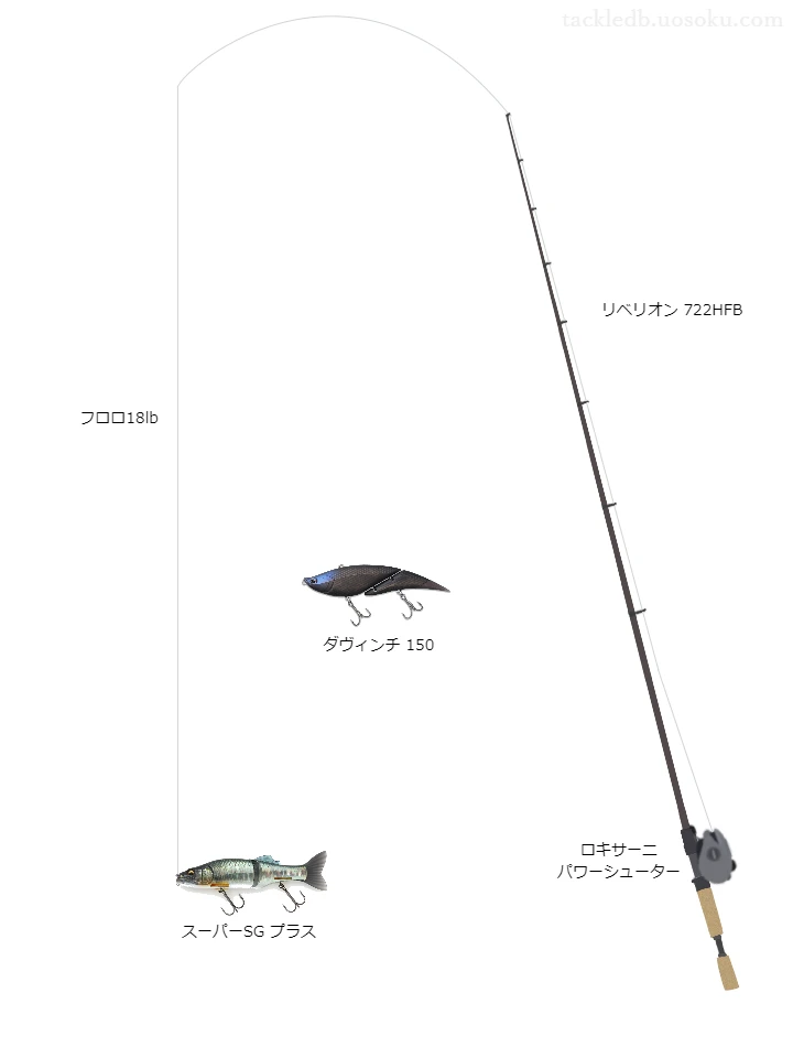 バス釣りに関するタックル、仕掛け図解