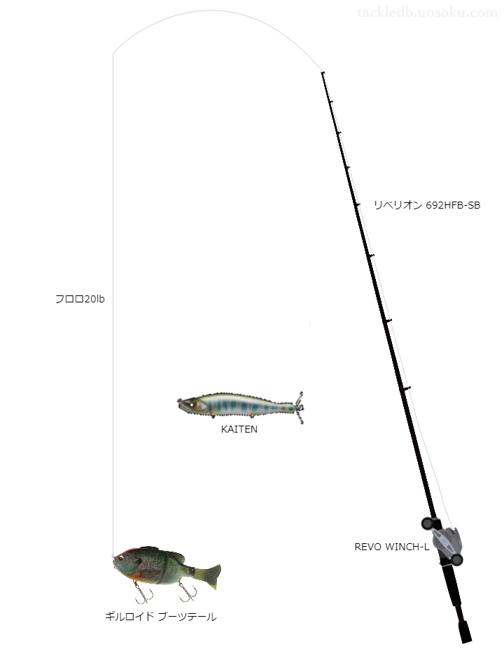 バス釣りに関するタックル、仕掛け図解