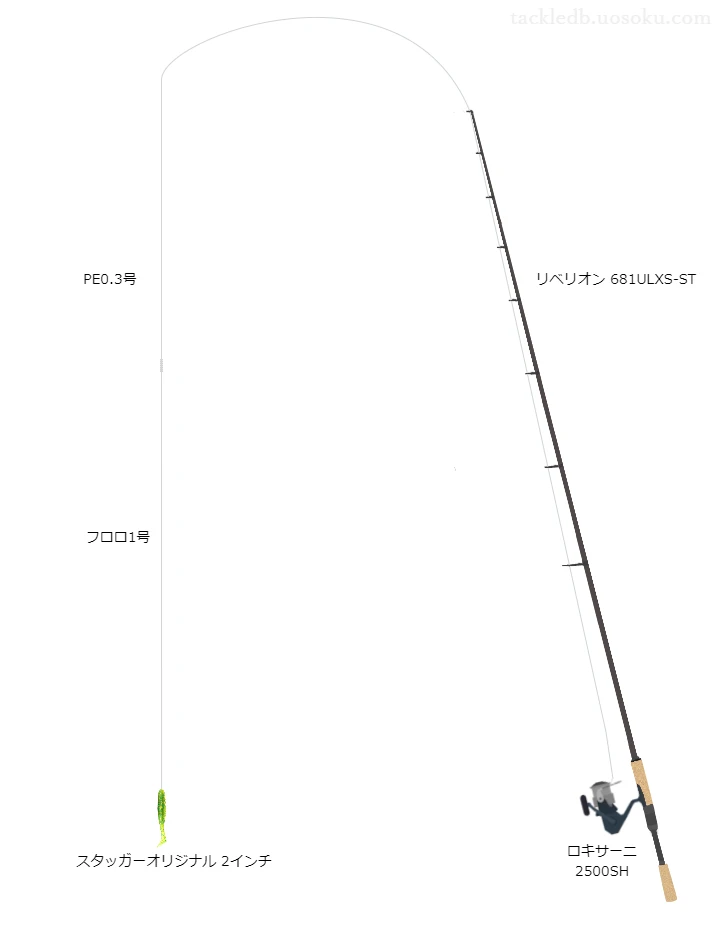 バス釣りに関するタックル、仕掛け図解