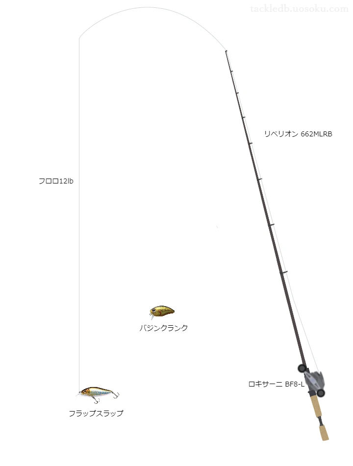 アディクトフロロ12lbをロキサーニBF8-Lと共に使用したバスタックル【仮想インプレ】