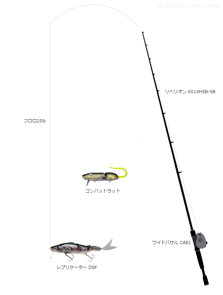 バス釣りに関するタックル、仕掛け図解