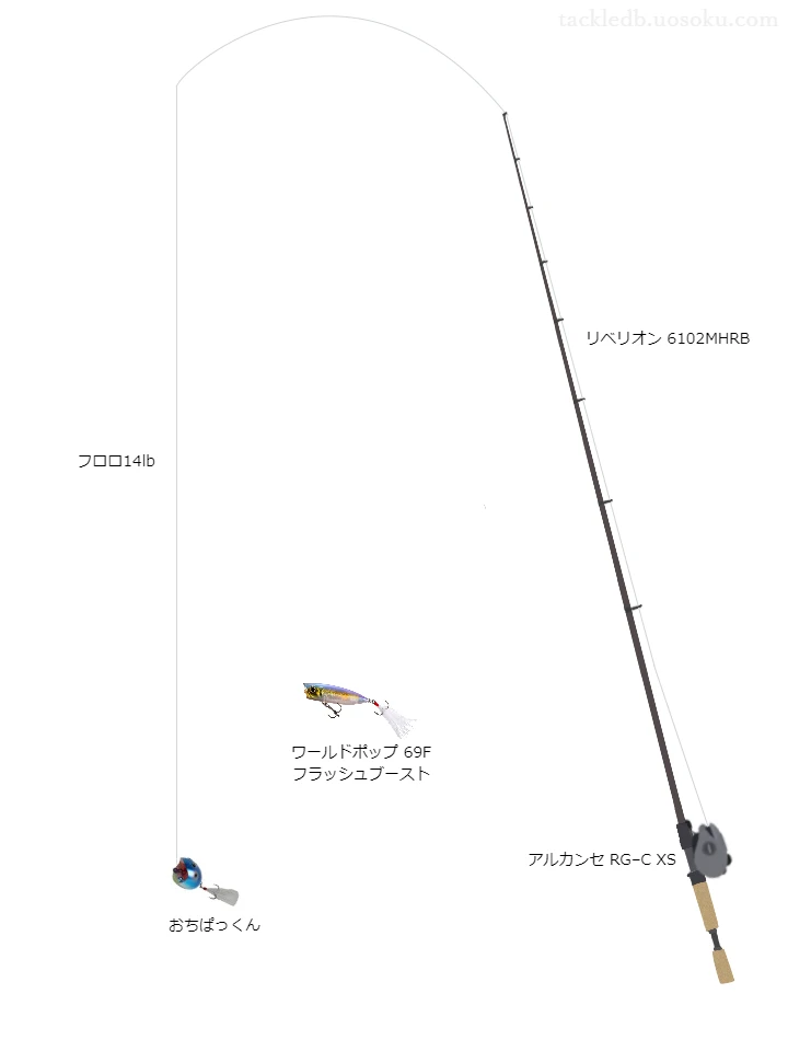 リベリオン6102MHRBとアルカンセRG–CXS及びおちぱっくんによるバス釣りタックル