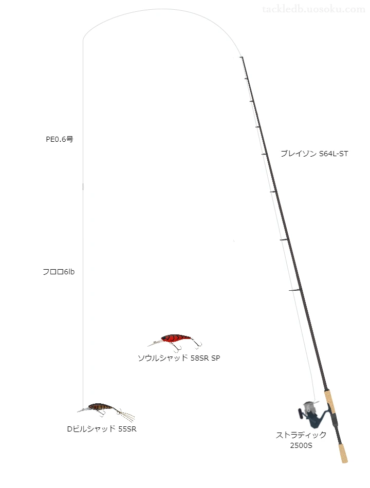 アブソルートPEX40.6号とフロロショックリーダー6lbを使用したバスタックル【ブレイゾンS64L-ST】