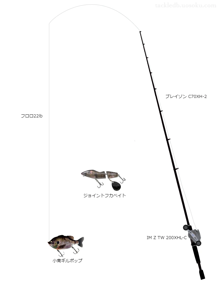 バス釣りに関するタックル、仕掛け図解